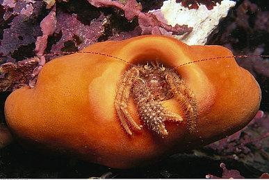 V社确认《CS2》军备竞赛等模式“没有被遗忘”